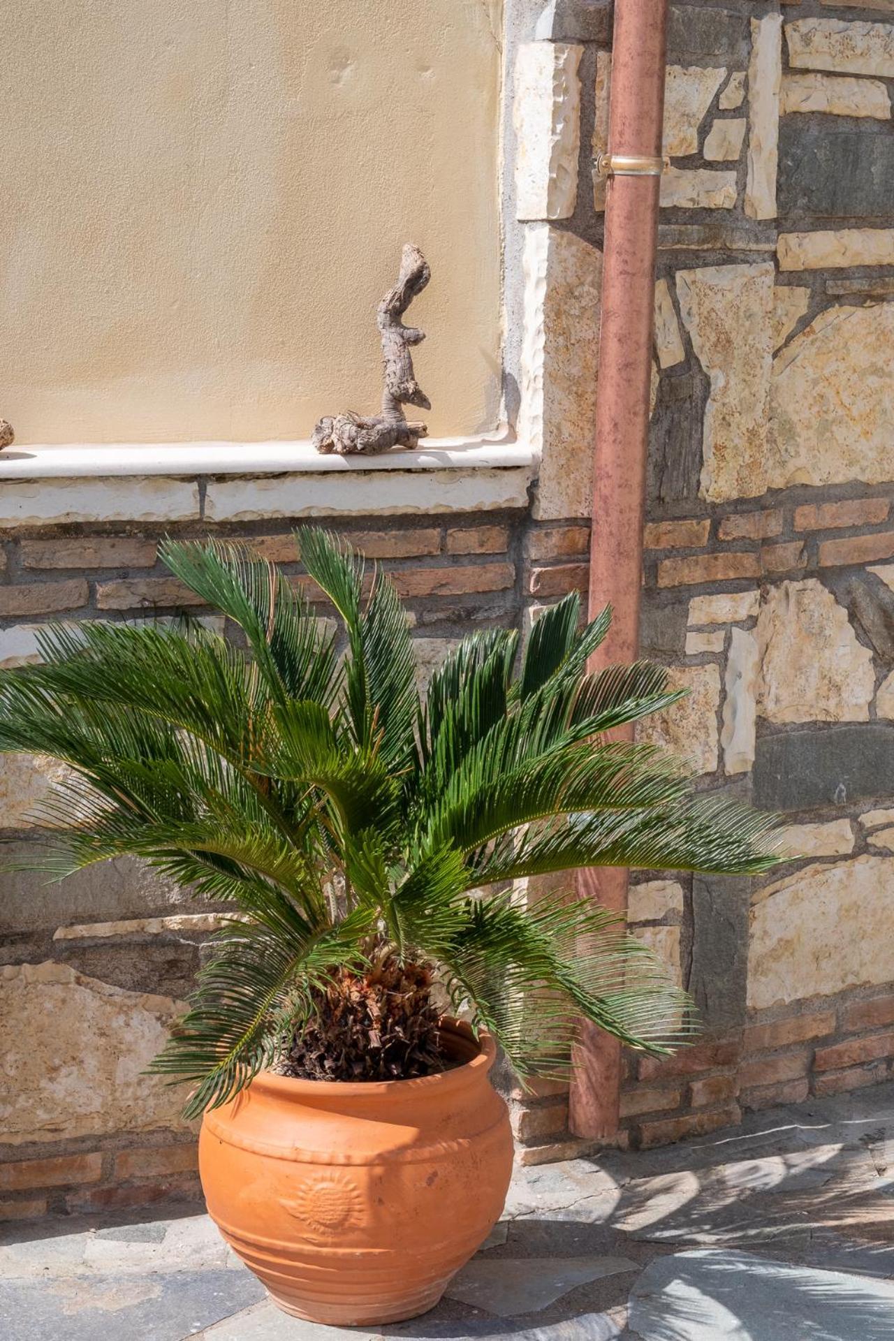 Sekreto - "S" Maisonettes & Studios Adults Only بارغا المظهر الخارجي الصورة